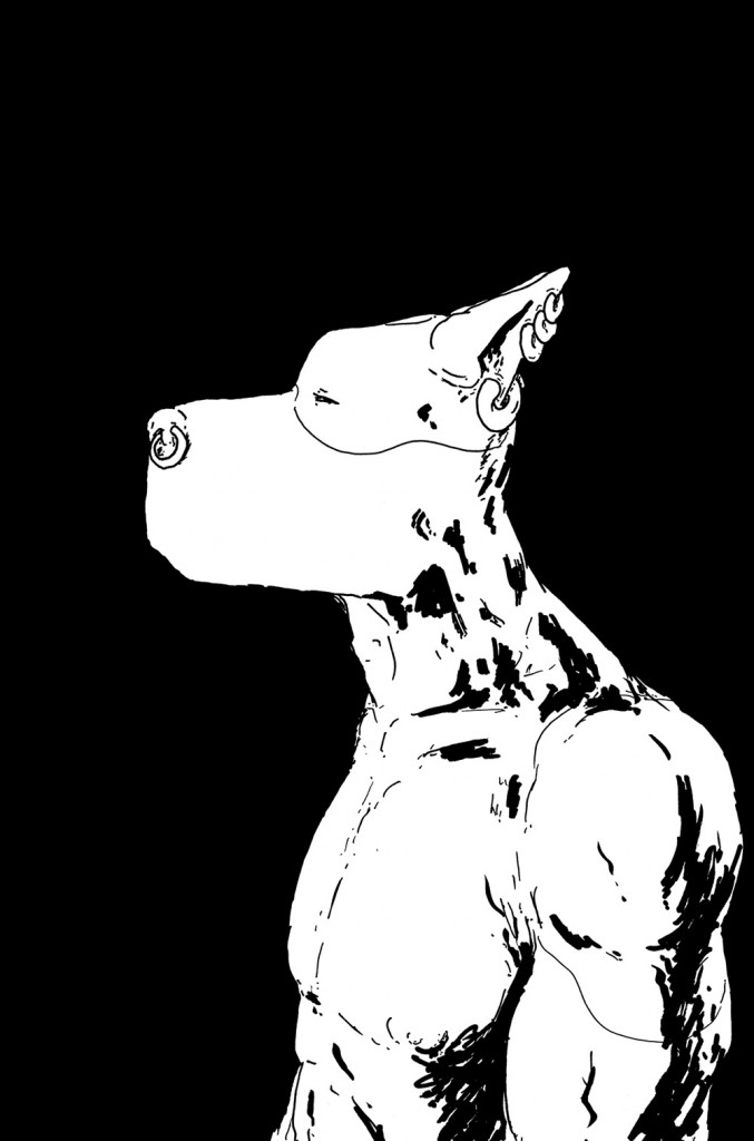 The Lengths: Cover