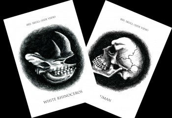 skulls 1