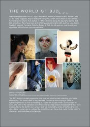 BJD Basics